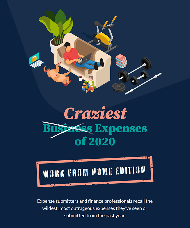 2020 Craziest Expenses: Work From Home Edition