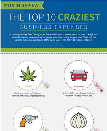 The Top 10 Craziest Business Expenses